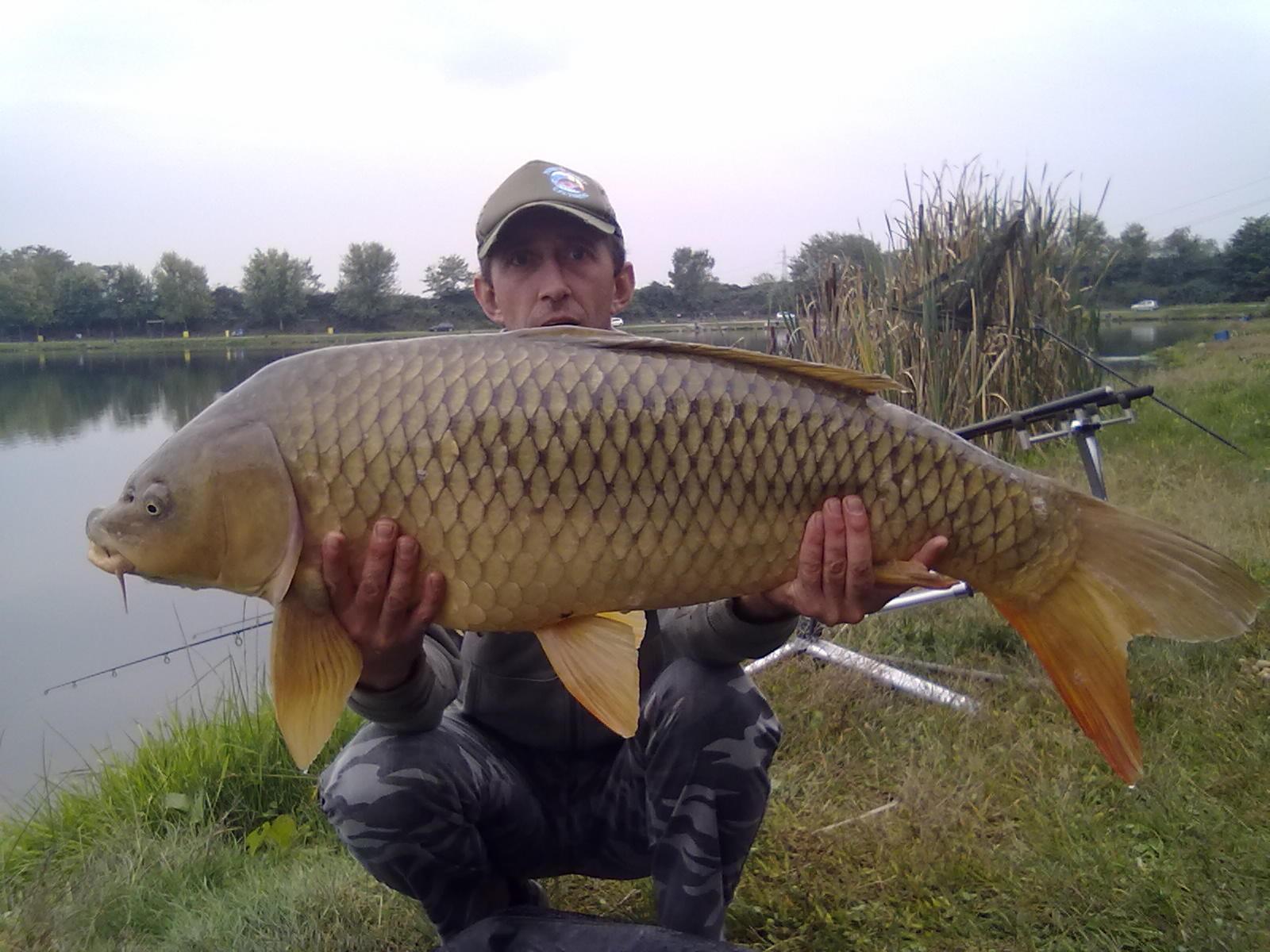 florian tanasa - 22102011024.jpg